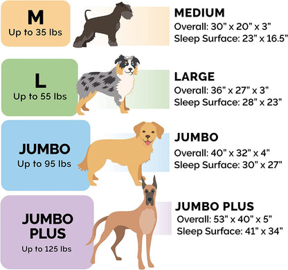 Orthopedic Dog Bed for Large/Medium Dogs W/ Removable Bolsters & Washable Cover, for Dogs up to 55 Lbs - Plush & Suede Sofa - Almondine, Large